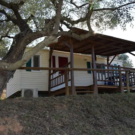 Càmping Terra Alta Bot