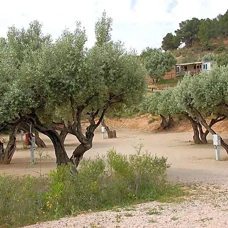 Village de vacances Càmping Terra Alta Bot