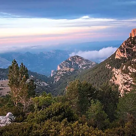 Càmping Terra Alta Bot