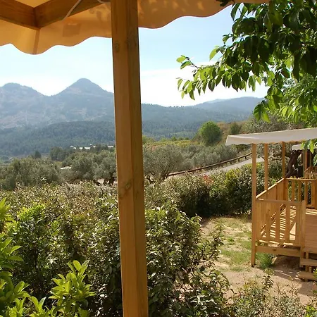 Camping Terra Alta Бот